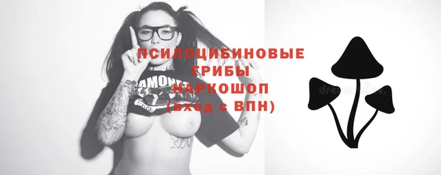 стафф Козельск