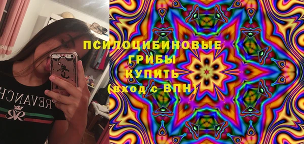 стафф Козельск